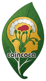 COINCOCA